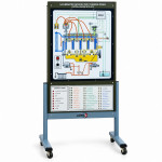 Illuminated Interactive Training Panels